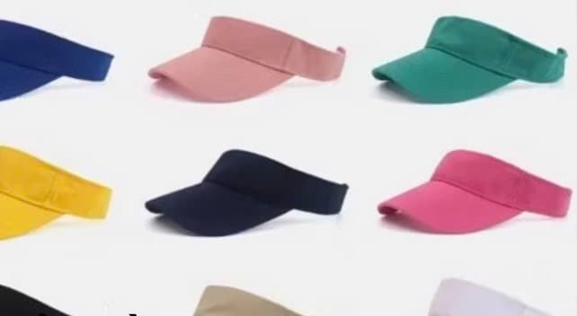 Sun visors